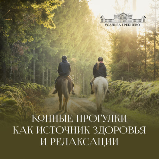 Конные прогулки как источник здоровья и релаксации