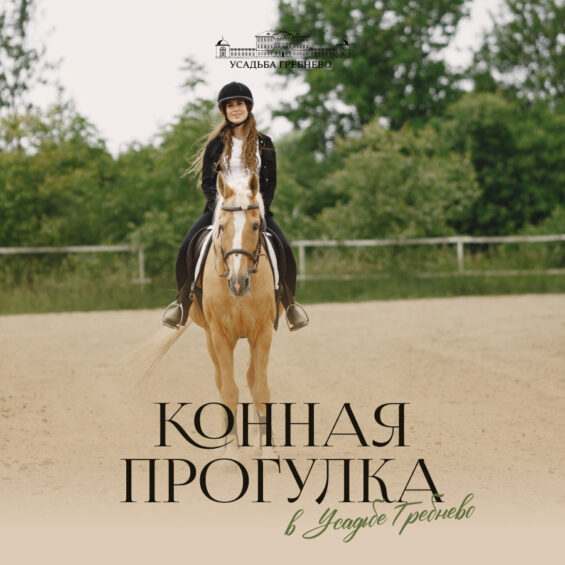 Конная прогулка