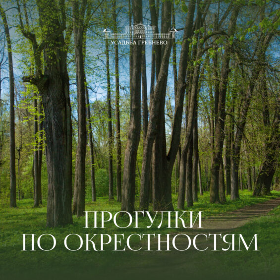 Прогулки по окрестностям